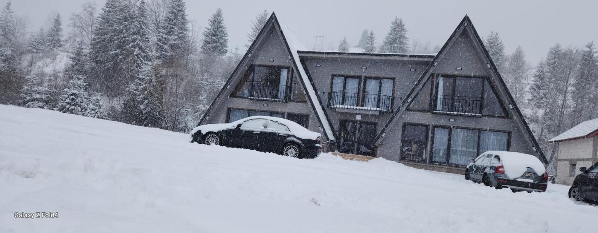 Cabana Din Vale Arieseni Apuseni Exterior photo