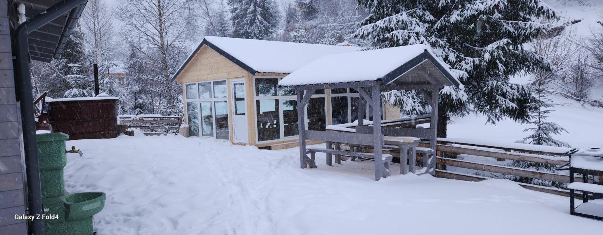 Cabana Din Vale Arieseni Apuseni Exterior photo